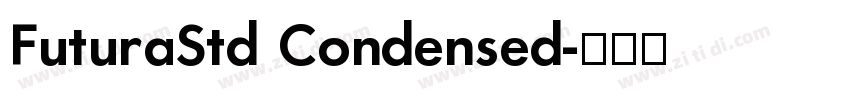 FuturaStd Condensed字体转换